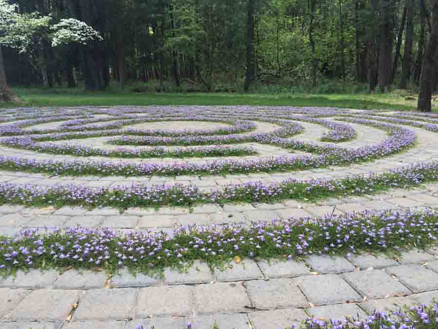 flower decoration pattern on a stone floor